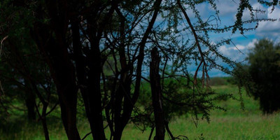 4 days tanzania safari booking last minute - Photo 4
