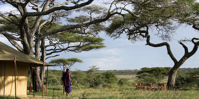 7 day northern tanzania photography safari - Photo 7