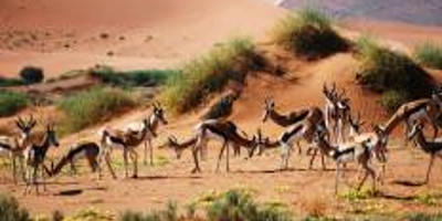 3 days sossusvlei safari (lodging) namibia - Photo 1