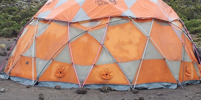 9 day lemosho route trekking - Photo 7