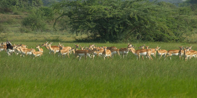 Tanzania safari day trip - Photo 2