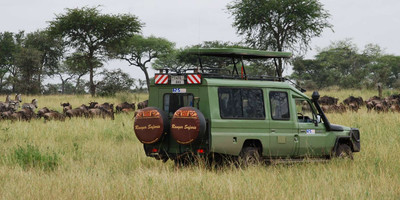 8 days lake turkana camping safari package - Photo 1