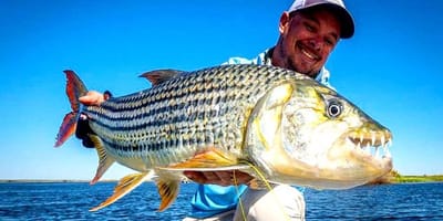 Zambezi river fishing excursion - Photo 1