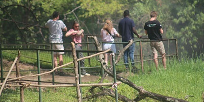 12 days breathtaking vacation safari in uganda - Photo 6