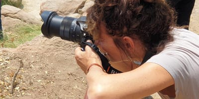 3 days tanzania camping (budget) safari serengeti and ngorongoro - Photo 1