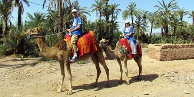 Dromadaires marrakech - Photo 6