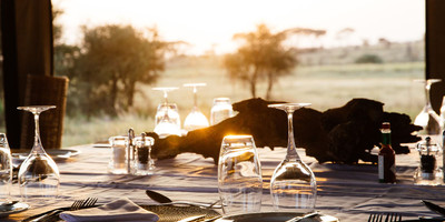 7 DAY TANZANIA SPECIAL TENTED CAMPS SAFARI - Photo 5