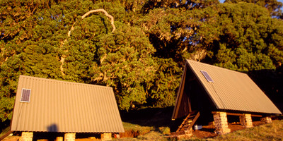 6 days kilimanjaro trekking marangu route - Photo 11