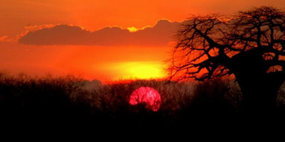 14 days and 13 nights tanzania luxury safari - Photo 11