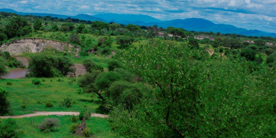 5 days tanzania camping (budget) safari - Photo 4