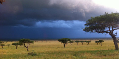 Kenya twin attractions special bush to beach safari - Photo 9
