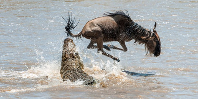 3 days maasai mara fly-in package - Photo 1