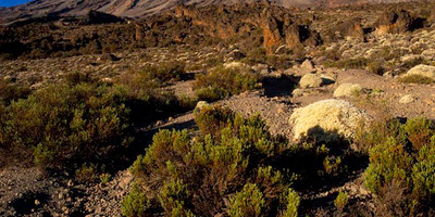 7 day kilimanjaro trekking via machame route - Photo 2
