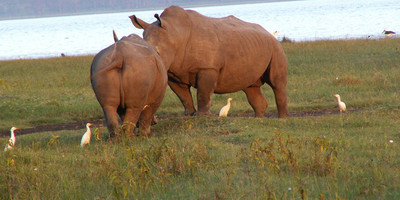 Kenya budget camping safari adventure - Photo 7
