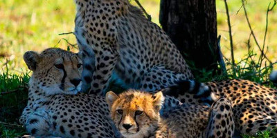 4 days samburu & ol pejeta safari itinerary – a 4x4 adventure - Photo 5