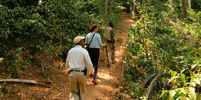 Amaizing safari to the western parks in tanzania - Photo 3