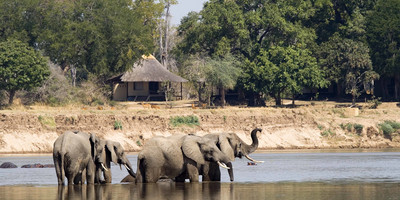 Tanzania bush to beach safari adventure - Photo 11