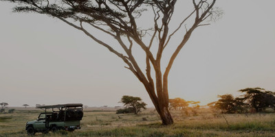 4 days camping safari - Photo 7