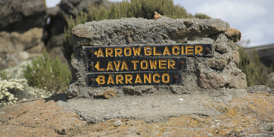 9 days kilimanjaro climbing via northern circuit with burigi chato safari co l.t.d - Photo 7