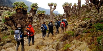 5 days kilimanjaro climbing marangu route - Photo 12