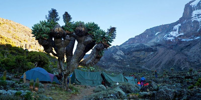 Mt meru climb 4 days - Photo 5