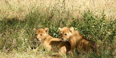 6 Days Namibia Express Safari - Photo 4