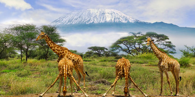4-day amboseli, tsavo west & tsavo east safari adventure - Photo 9