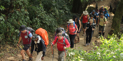 11 DAYS KILIMANJARO TREKKING AND SAFARI - Photo 3