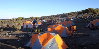 7 days trekking kilimanjaro-rongai route - Photo 2