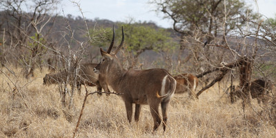 6 days tanzania shares safari tour - Photo 2