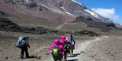 8 days lemosho route kilimanjaro trekking - Photo 1