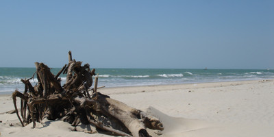 Madagascar culture and charm - Photo 3