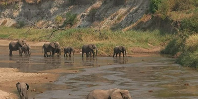 3 days affordable shared safari from zanzibar - Photo 9