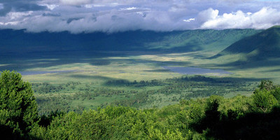 5 days tanzania private safari package - Photo 3
