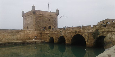 Day trip to essaouira from marrakech - Photo 5