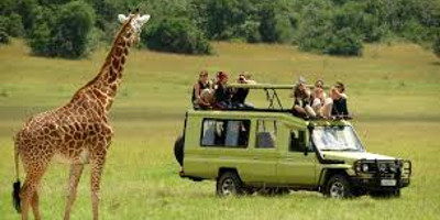 5 days northern tanzania big 5 luxury safari - Photo 4