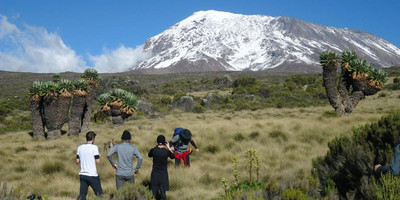 7 days rongai route kilimanjaro climbing itinerary - Photo 9