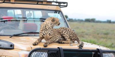 7 Day Low Season Tanzanian Green Safari - Photo 2