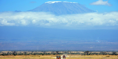 8 days kilimanjaro hiking via lemosho route route with burigi chato safari co l.t.d - Photo 5