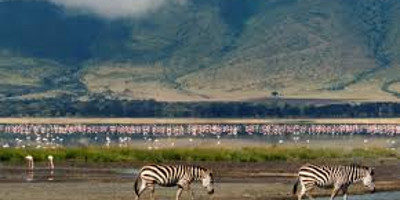4 day last-minute safari from zanzibar - Photo 7