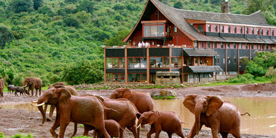 9 days epic african safari - Photo 10