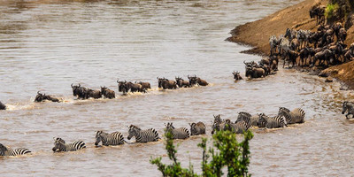 3 days maasai mara - Photo 1