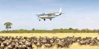 Majestic masai mara: 4-day big five safari in a 4x4 jeep - Photo 2