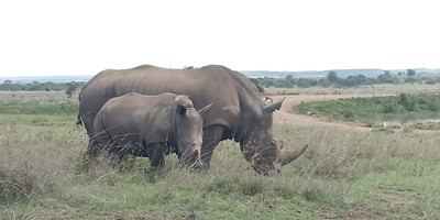 3 days 2 nights masai mara joining safari from nairobi - Photo 5