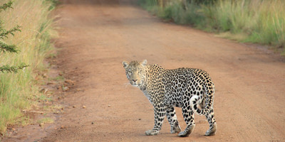8 Days Taste of Namibia Safaris - Photo 5