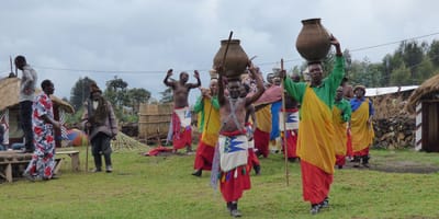 6 days best of rwanda budget safari - Photo 1