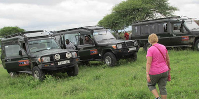 5 days tanzania private game drive safaris - Photo 3