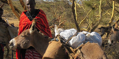 7 Days and 6 Nights Ngorongoro Highland Treks - Photo 3