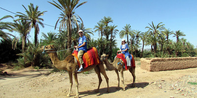 Dromadaires marrakech - Photo 9