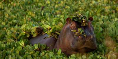 Day trip to lake manyara national park - Photo 6